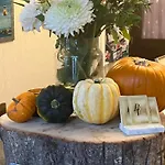 Bella Vista